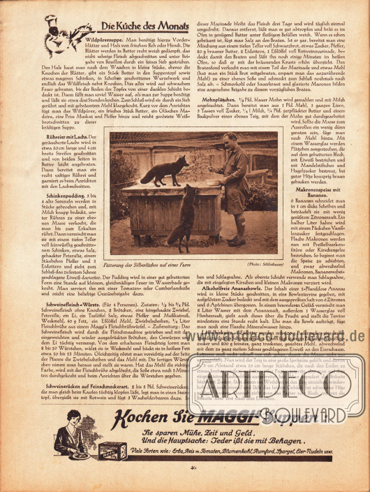 Artikel:
O. V., Die Küche des Monats (Wildpüreesuppe, Rühreier mit Lachs, Schinkenpudding, Schweinefleisch-Würste, Schweinerücken auf Feinschmeckerart, Mohnplätzchen, Makronenspeise mit Bananen, Alkoholfreie Ananasbowle, Löffelbiskuits).
Fotografie mit Bildunterschrift „Fütterung der Silberfüchse auf einer Farm“.
Foto: Schlochauer.
Werbung:
Maggi’s Suppen.
